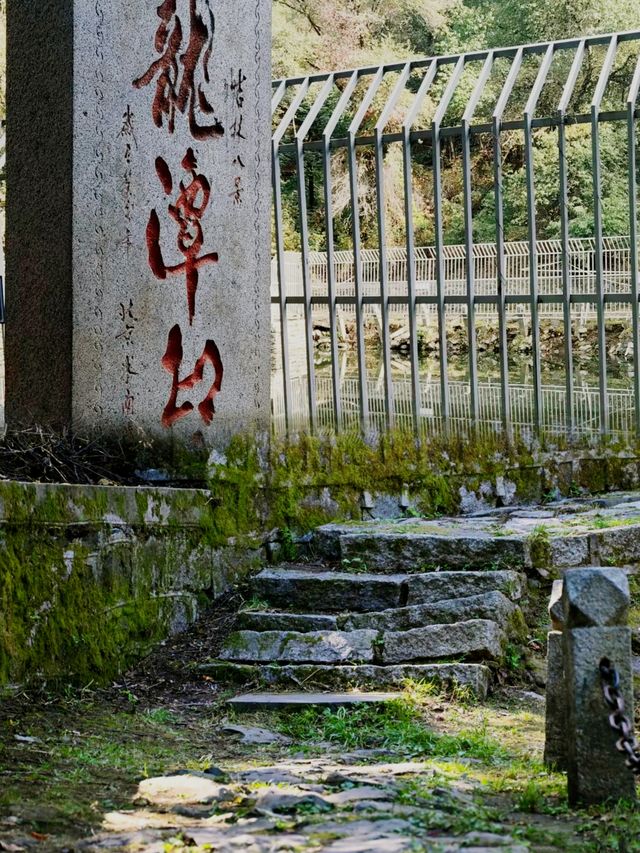 龍潭山公園，去年十月遊！