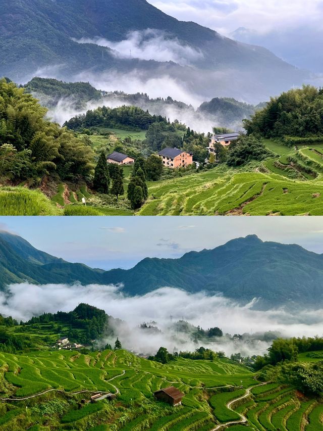 接下來的雲和梯田，是賞日出雲海的天花板