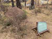 阿爾山國家森林公園