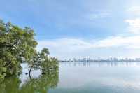 觀光新加坡的雙溪布洛濕地天然公園