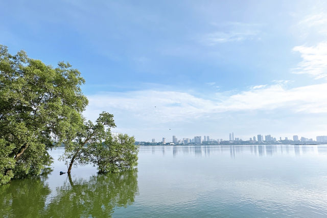 觀光新加坡的雙溪布洛濕地天然公園