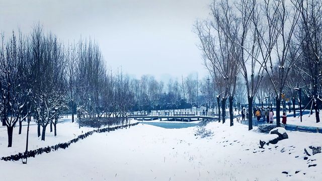 下雪了，來鄭州看“海”吧