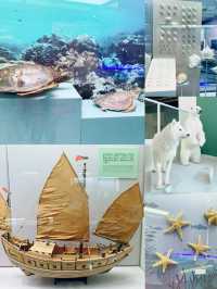 臨港遊之中國航海博物館