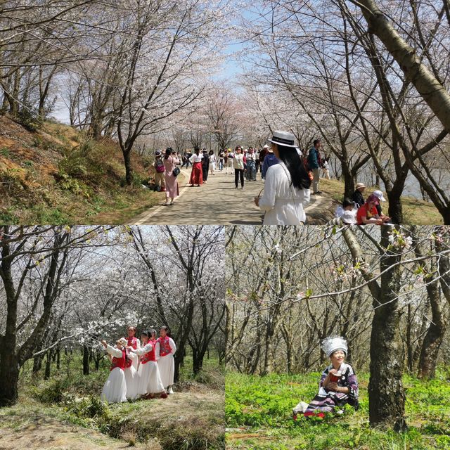 貴州美景多，景點免門票|清鎮平壩兩日遊攻略