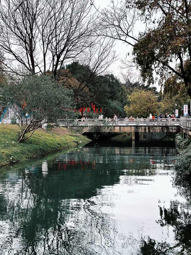 來廣西旅遊的第n天！20元背後的景色我又來了！