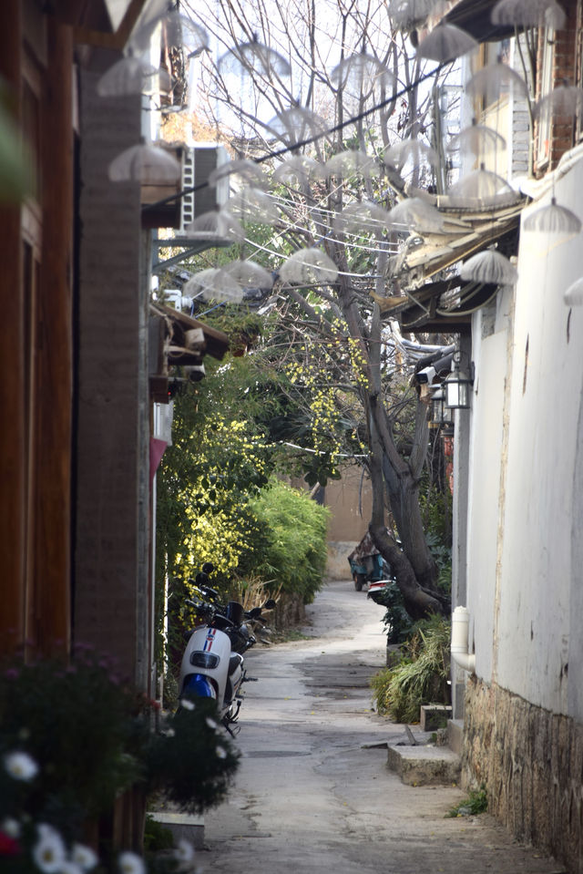 束河古鎮 | 麗江必打卡，低調的隱世古鎮