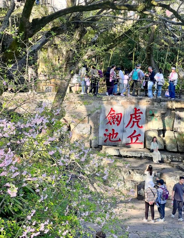 以花之約，共赴春日盛宴