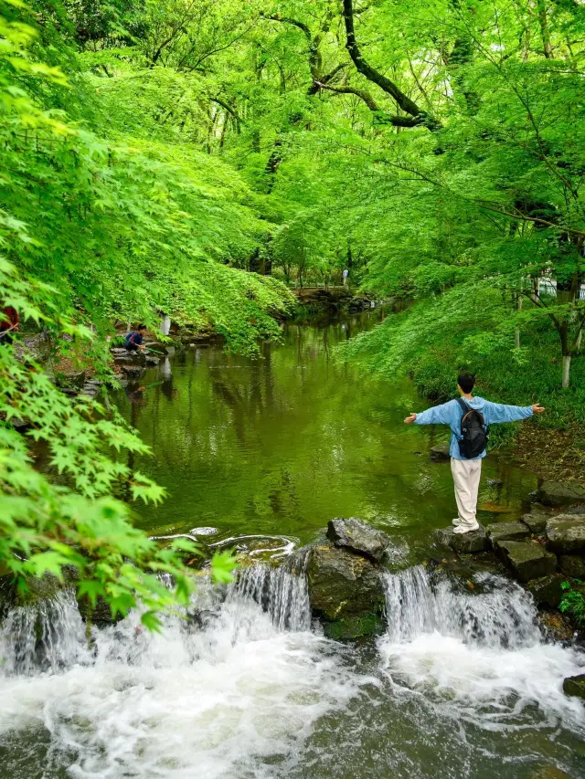 The most comfortable route I've walked in Hangzhou includes streams, waterfalls, and a small forest