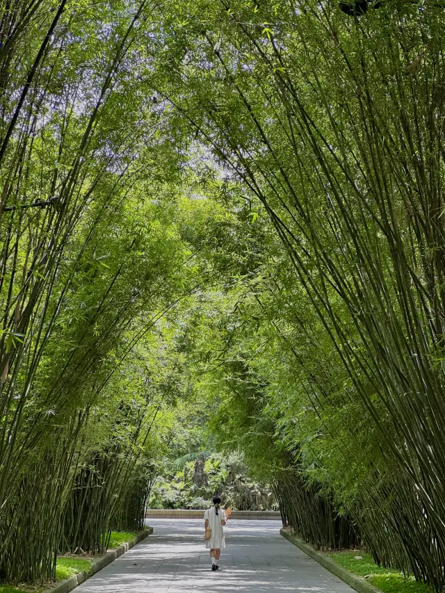 原來這才是成都最的公園居然沒人！！