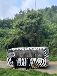 五一好去處！！貴州森林野生動物園