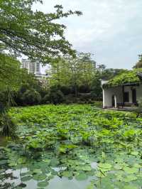 福州茶亭公園之小荷才露尖尖角