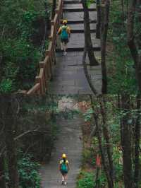 龍泉山裡一個人都可去的登山步道