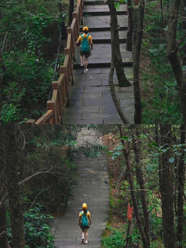 龍泉山裡一個人都可去的登山步道