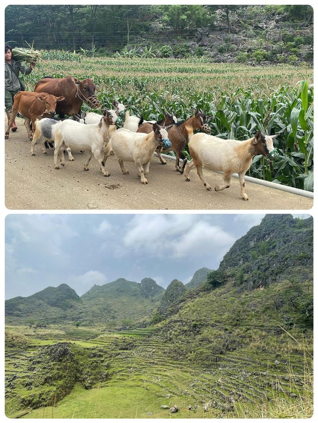 現實版塞爾達廣西你這地方藏得夠深啊……