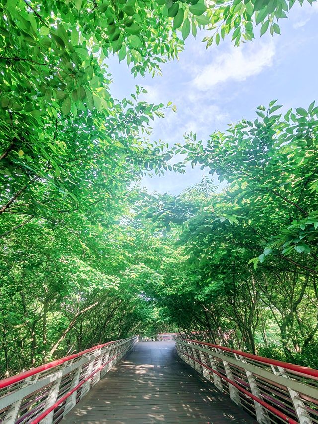 櫻花公園,寧波第一賞櫻勝地 櫻花公園,寧波第一賞櫻勝地