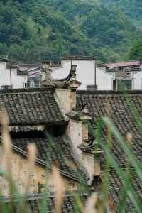避開人潮，杭州1h去浦江看這個800年的古村