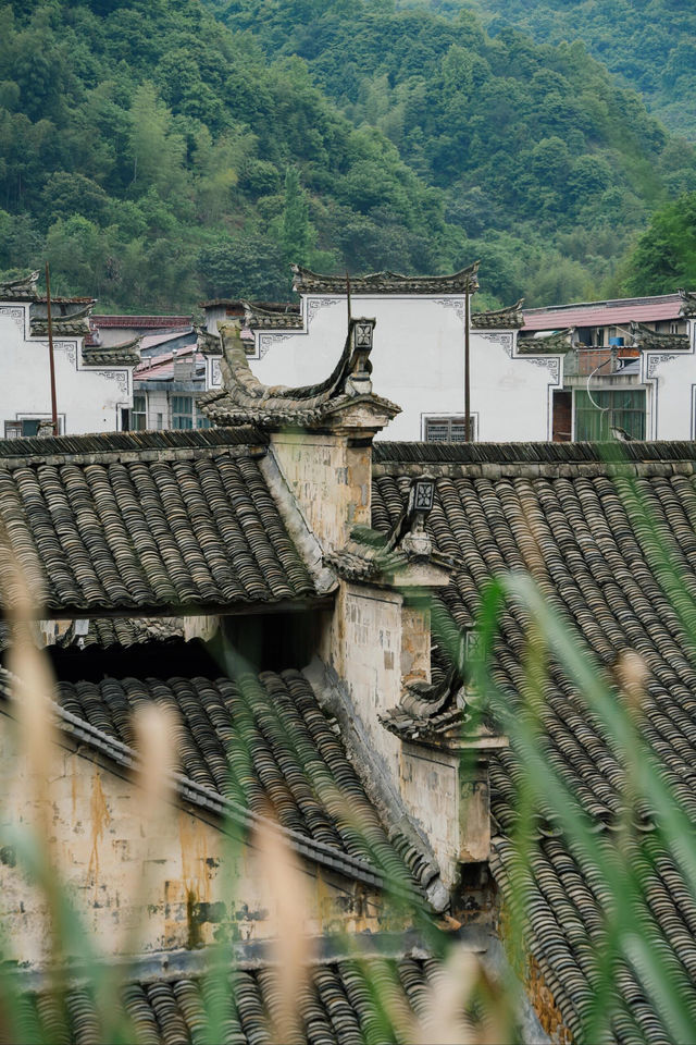 避開人潮，杭州1h去浦江看這個800年的古村