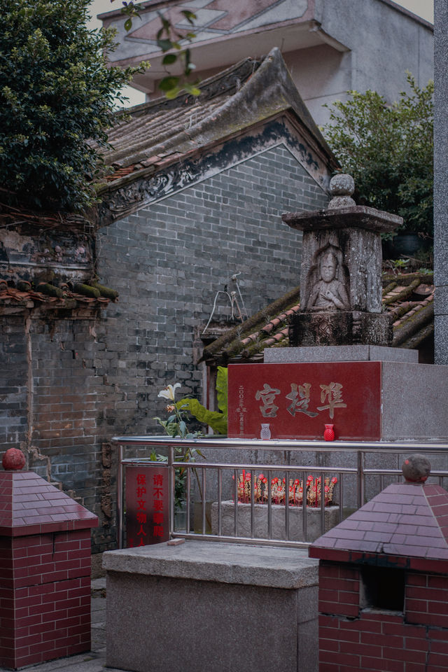 探秘深圳隱秘的角落，100元可以吃一天