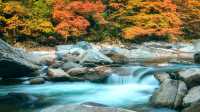 秋季好去處-夢幻光霧山。