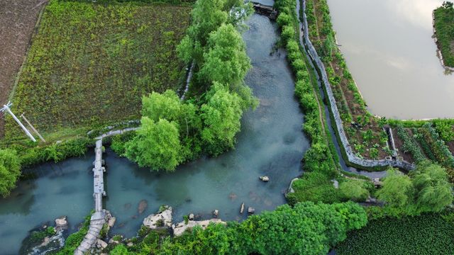 山清水秀客棧