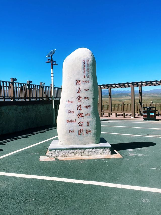 意想不到的珍寶地-阿萬倉濕地