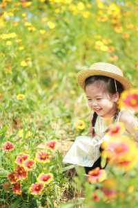 長沙夏天也能賞花這3個地方能遛娃還出片