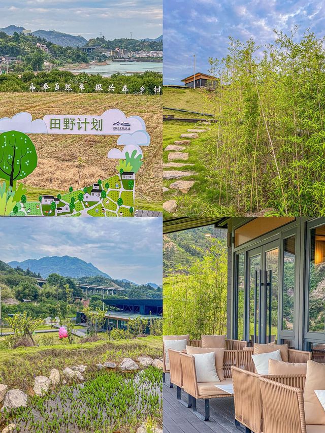在福州）睡進大山裡真的太治癒了