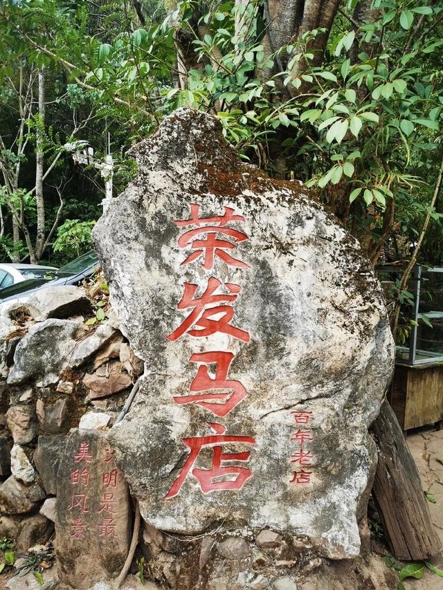 普洱那柯里 普洱那柯里