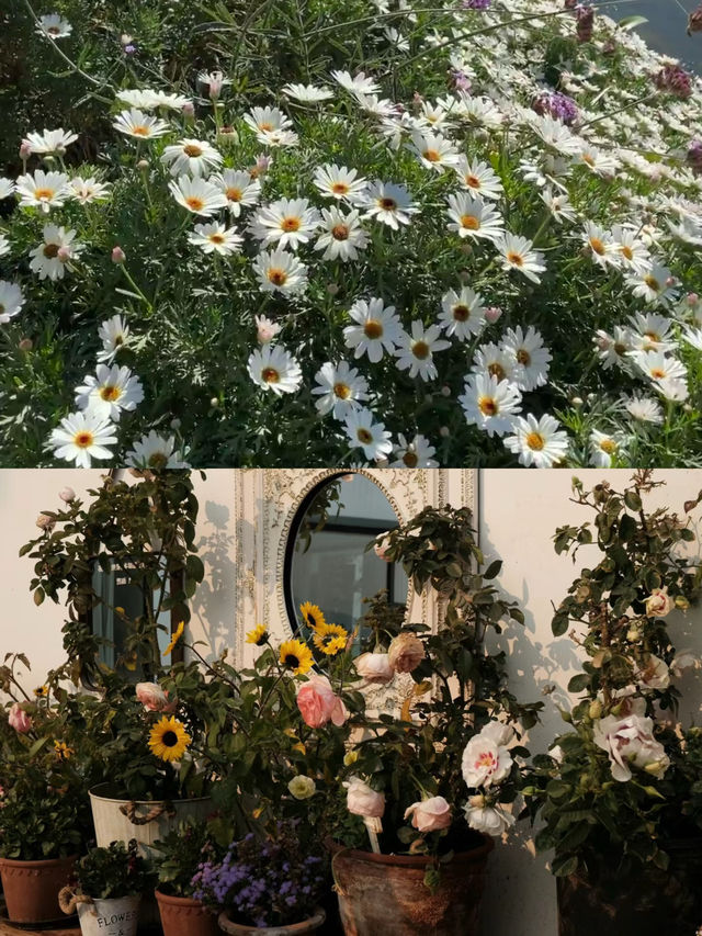 大理拍照| 發現洱海的秘密花園  angebaby 同款名宿