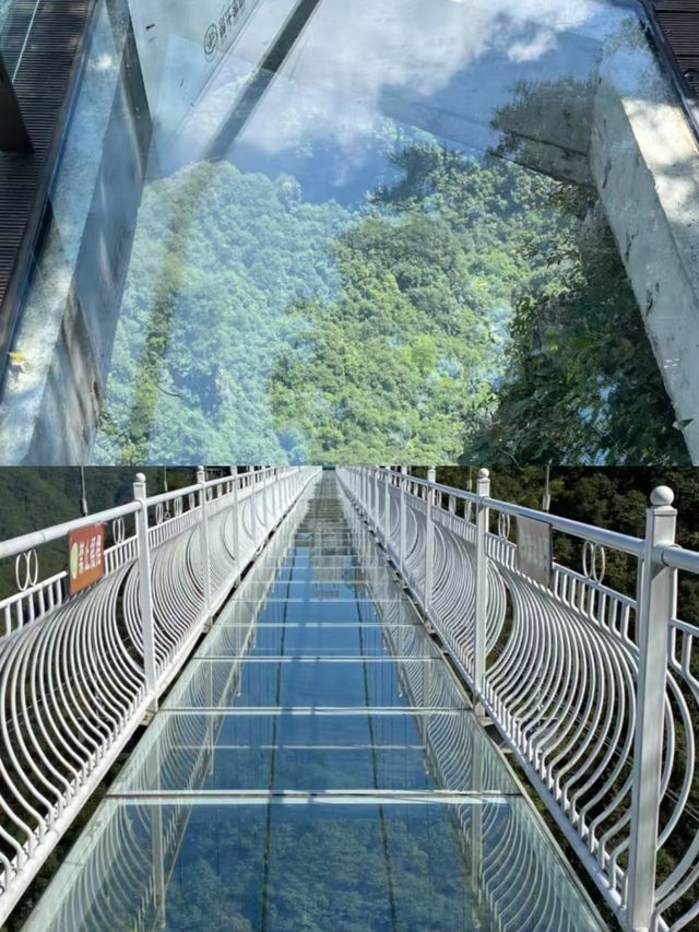 哇塞，一個絕美的地方——杭州太湖源梯田花海