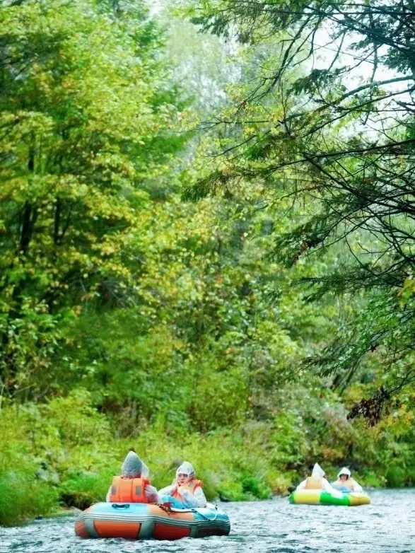 暑假一定要帶娃去21℃長白山避暑
