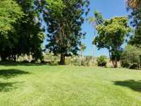 Beautiful City Botanic Gardens Brisbane 🌺🌳