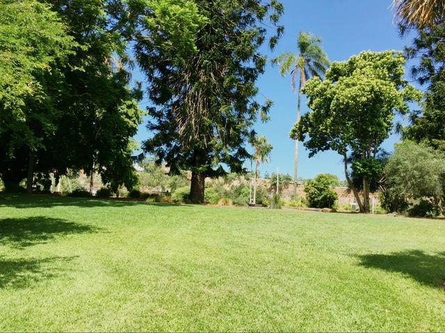 Beautiful City Botanic Gardens Brisbane 🌺🌳