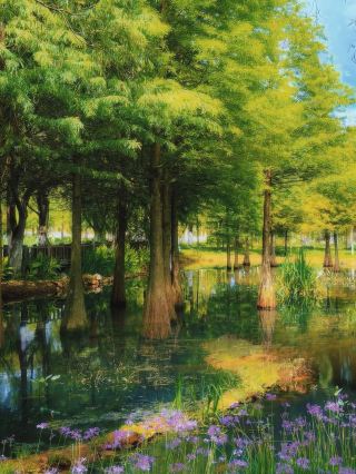 Kunming One-Day Tour Secret Unlocked! Complete Guide to Yuping Cold Spring Park