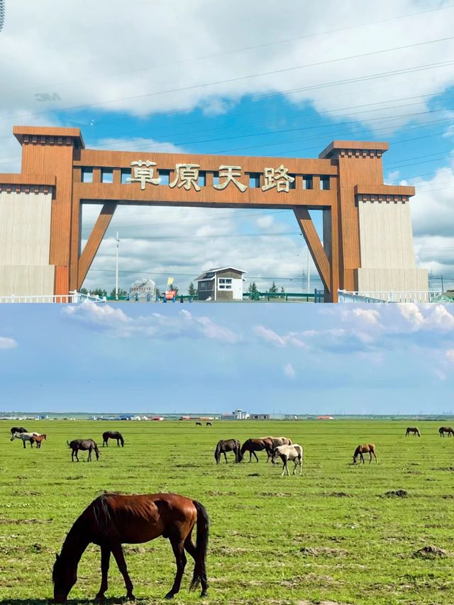 20℃的草原也太美了吧——張北大草原