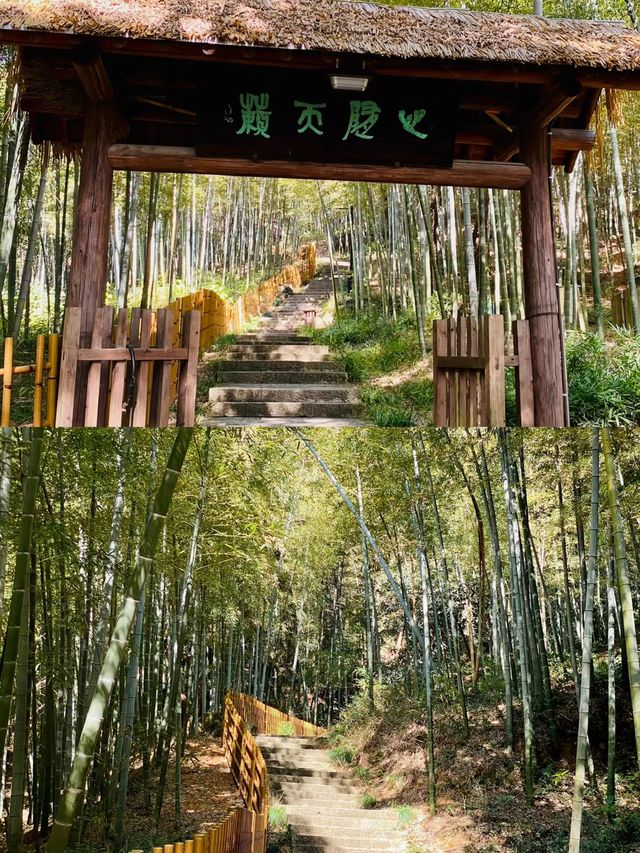 聊城！驗越王山飛拉達