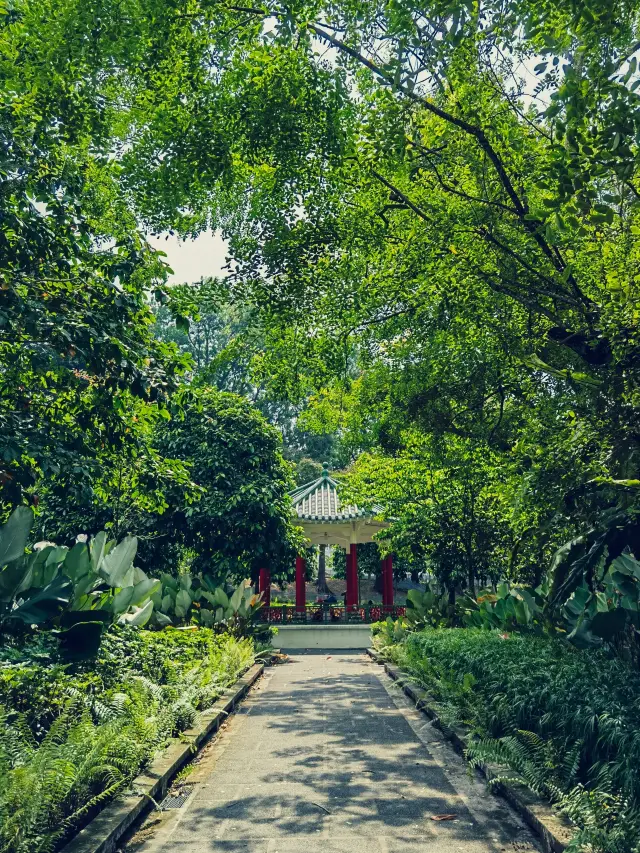 Nanyang Technological University, Singapore, the most beautiful campus in the world with a Nanyang flavor