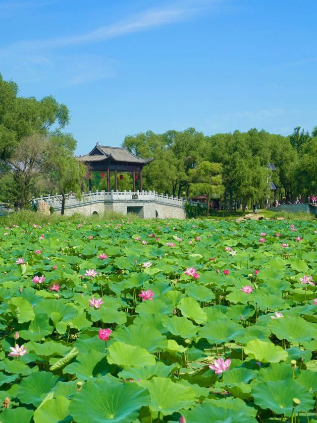 都以為我去了蘇杭，沒想到竟是吉林長春