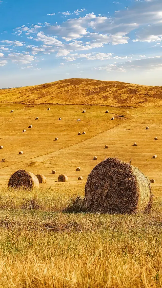 I thought Xinjiang was beautiful enough, until I went to Inner Mongolia.