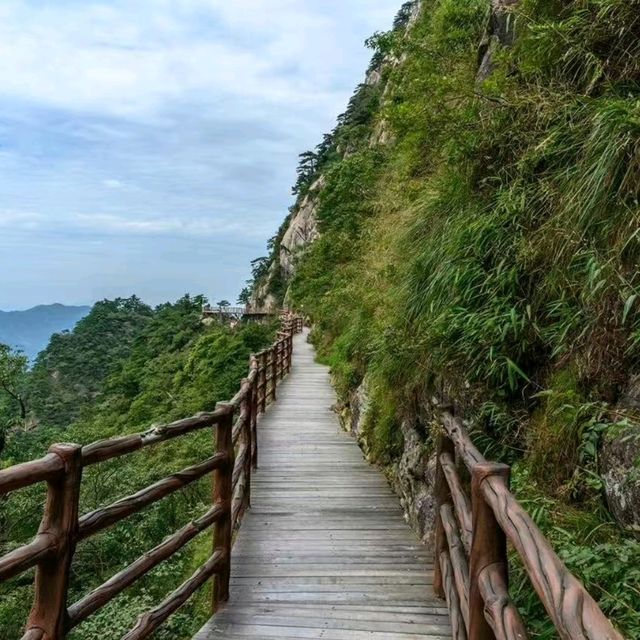 探秘萬佛山：自然奇观與佛教聖地的完美邂逅