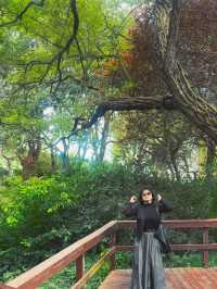Qingdao’s Hidden Natural Beauty 🇨🇳🌿🌱
