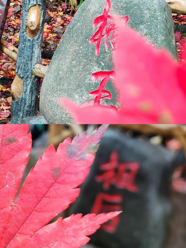 遼寧本溪關門山｜中國楓葉之都。