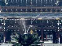 京都古韻·本願寺：在歷史與信仰的交響中漫步。