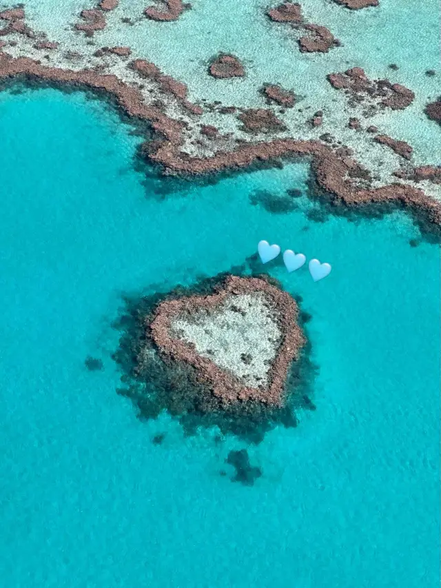 Great Barrier Reef: Underwater Kingdom, Natural Wonder.