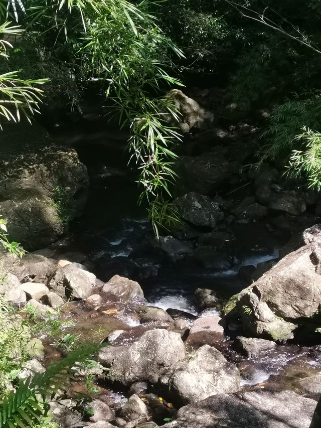 南昆山真是惠州的避暑勝地。