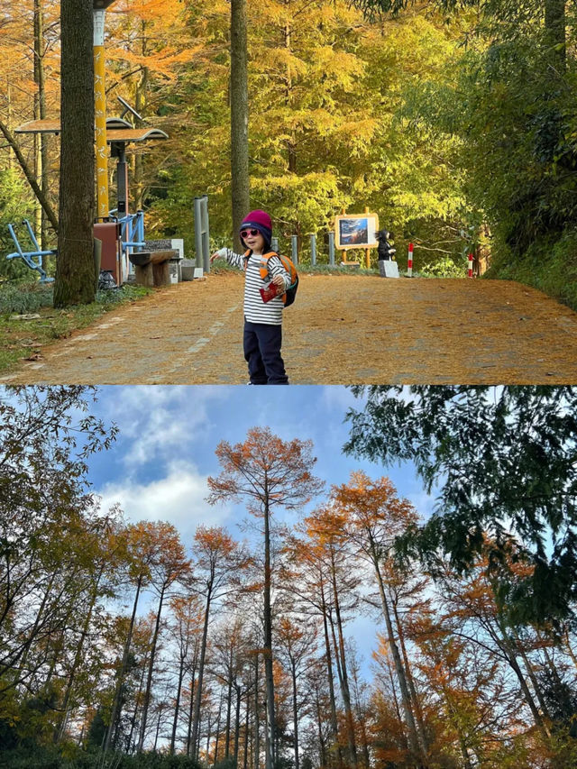 接下來的浙江堪稱秋日旅遊天花板！。