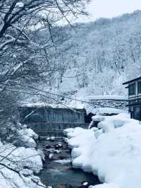 Explore the Hidden Hot Spring Paradise of Nyuto Onsen in Japan