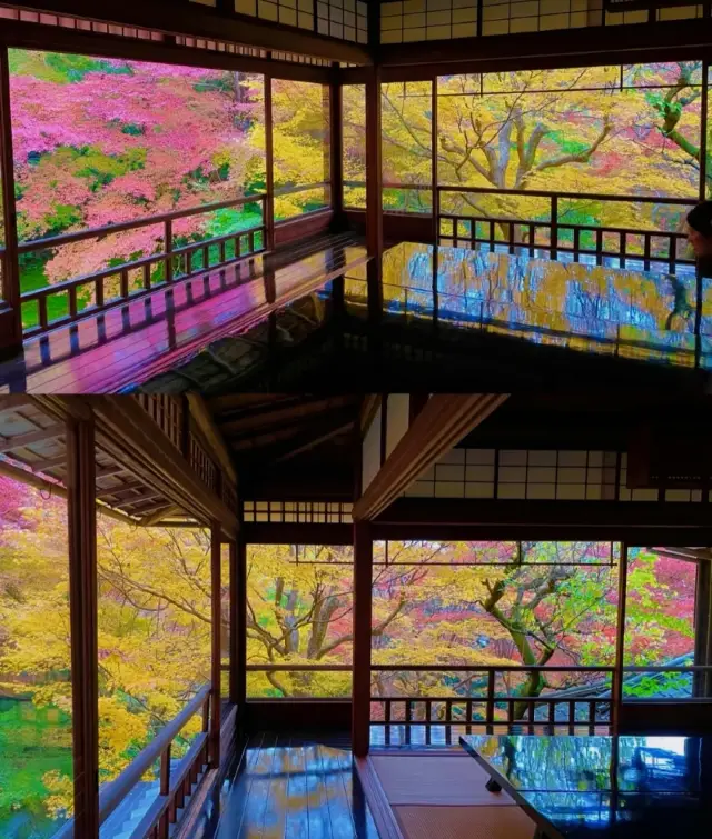 Rurikoin Temple: A dreamlike, light-filled wonderland. 