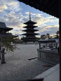 法隆寺——奈良的世界文化遺產。