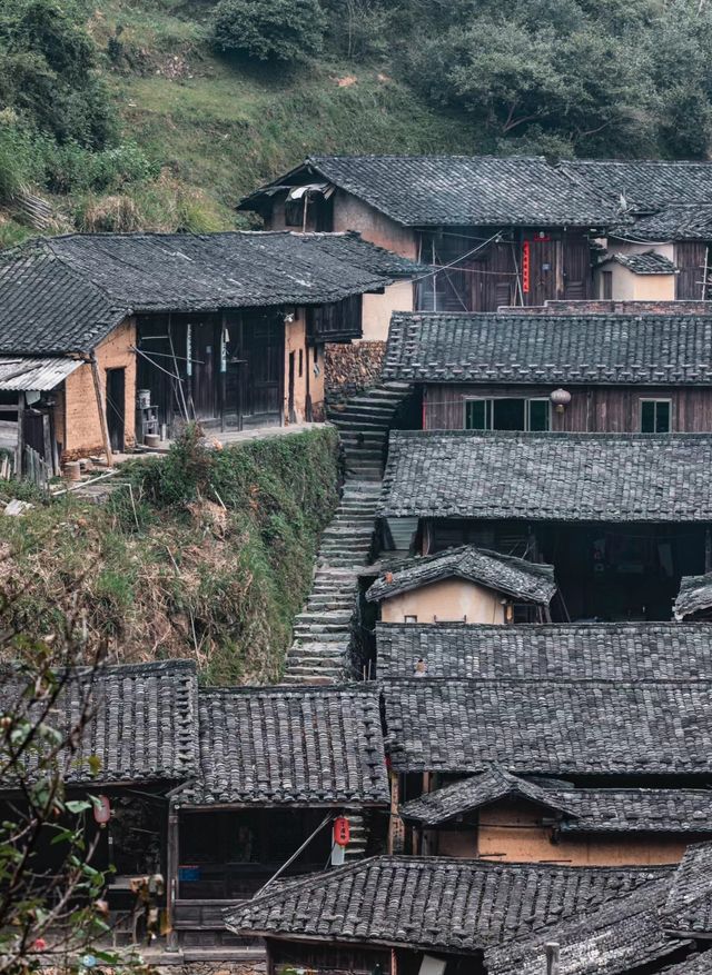 陸之古樸的村落丁屋嶺探尋「無蚊村」之美。